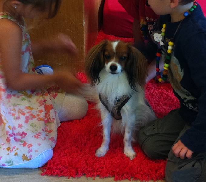 Der Hund im Kindergarten Schule Granichen